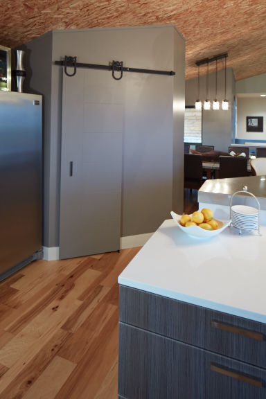 Contemporary kitchen with sliding pantry doors